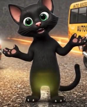 Gata Nina